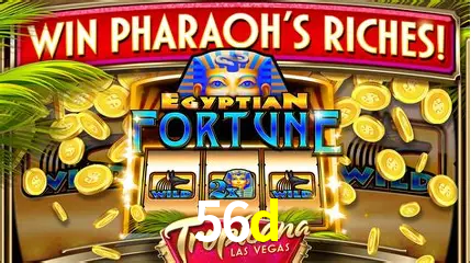 Jogos de mesa e apostas rápidas na 56d